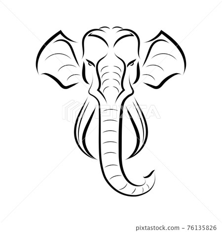 Black and white line art of the front of the elephant's head. Good use for symbol, mascot, icon, avatar, tattoo, T Shirt design, logo or any design you want. 76135826