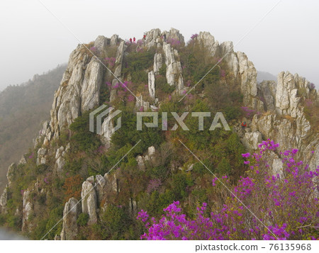 康津郡, 竹雀山, 休養林, 石山 康津郡, 竹雀山, 休養林, 石山 76135968