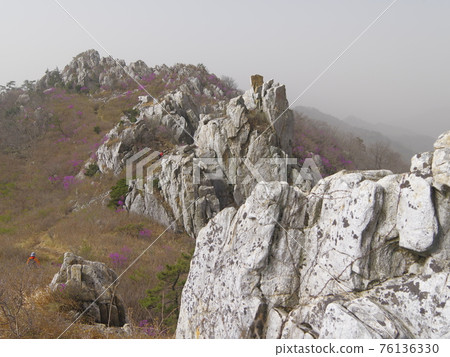 康津郡, 竹雀山, 休養林, 石山 76136330