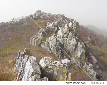 康津郡, 竹雀山, 休養林, 石山 康津郡, 竹雀山, 休養林, 石山 76136331