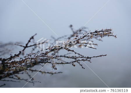 Foggy ice Foggy ice 76136519