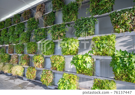 二氧化碳減排、熱島措施、牆面綠化 76137447