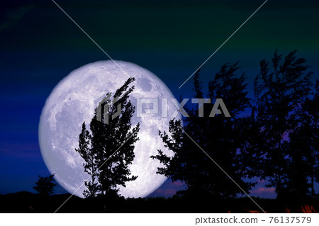Full Worm Moon and silhouette tree in the field and night sky Full Worm Moon and silhouette tree in the field and night sky 76137579