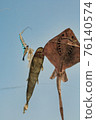 This is a photo of a kite flying landscape. 76140574