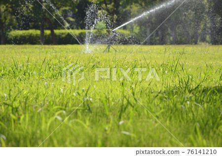Lawn in watering (at Osaka Castle Nishinomaru Garden) Lawn in watering (at Osaka Castle Nishinomaru Garden) 76141210