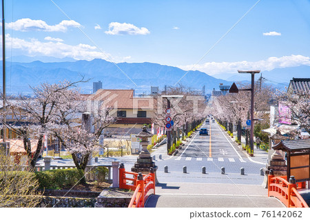 Row of cherry trees on Takeda Street 76142062