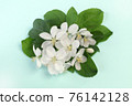 蘋果花 76142128