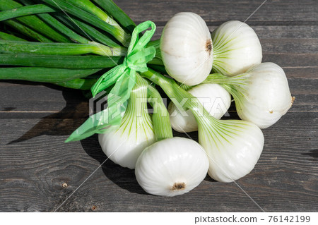 在菜園收穫的新洋蔥 在菜園收穫的新洋蔥 76142199