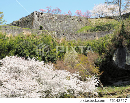 大分縣竹田市岡城遺址竹田櫻花 大分縣竹田市岡城遺址竹田櫻花 76142737