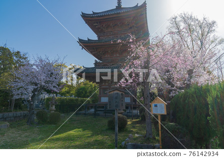 Three-storied pagoda of Hozumiji Temple (Mt. Tenno and Mt. Jippo) Three-storied pagoda of Hozumiji Temple (Mt. Tenno and Mt. Jippo) 76142934