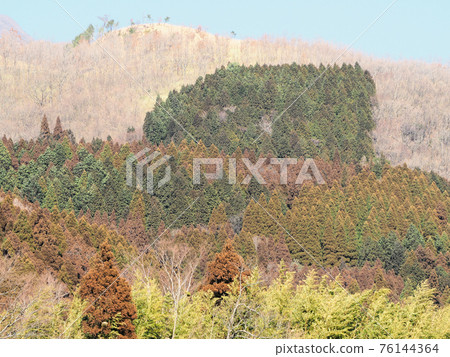 Scenery along the roundabout road, colorful mountain surface, Sugibayashi, Nyuta Town, Taketa City, Oita Prefecture 76144364