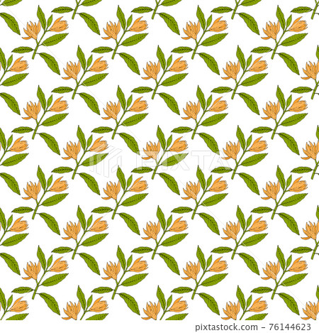 Seamless pattern with champak magnolia champaca  76144623