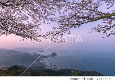 Shikokuzan的櫻花 Shikokuzan的櫻花 76145470