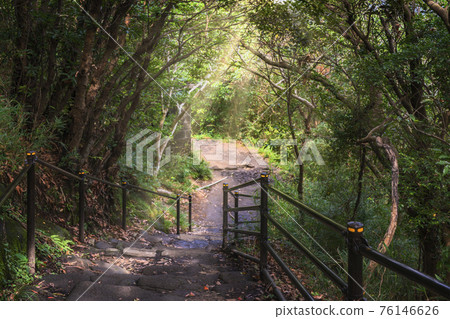[Chiba / Mt. Nokogiri] The stone steps of Mt. Nokogiri's hiking trail leading to the observatory of Hell Peep and Nihonji Temple. 76146626