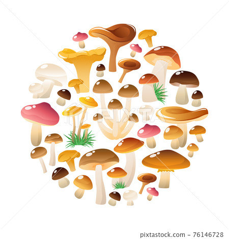 Forest Mushrooms Round Composition Forest Mushrooms Round Composition 76146728