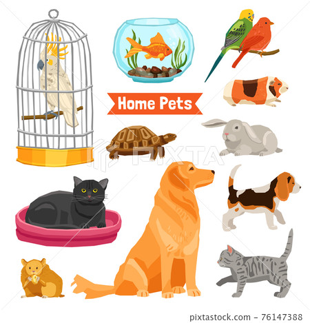 Home Pets Set 76147388
