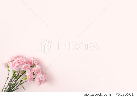 Carnation bouquet mother's day gift carnation Mother's Day 母の日 カーネーション 76150501