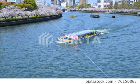 大阪大川河沿岸的一排櫻花樹 76150865