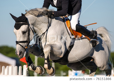 Horse Jumping, Equestrian Sports themed photo. Horse Jumping, Equestrian Sports themed photo. 76151866
