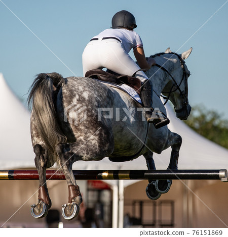 Horse Jumping, Equestrian Sports themed photo. Horse Jumping, Equestrian Sports themed photo. 76151869