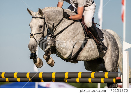 Horse Jumping, Equestrian Sports themed photo. Horse Jumping, Equestrian Sports themed photo. 76151870