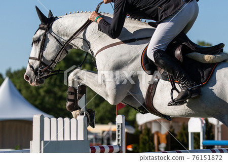 Horse Jumping, Equestrian Sports themed photo. Horse Jumping, Equestrian Sports themed photo. 76151872
