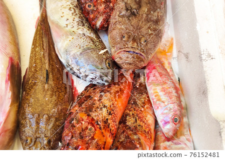 raw fish for soup at the market seafood raw fish for soup at the market seafood 76152481