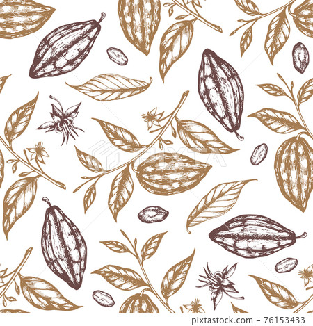 Seamless pattern with cocoa beans Seamless pattern with cocoa beans 76153433