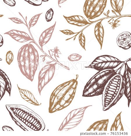 Seamless pattern with cocoa beans - Stock Illustration [76153436] - PIXTA