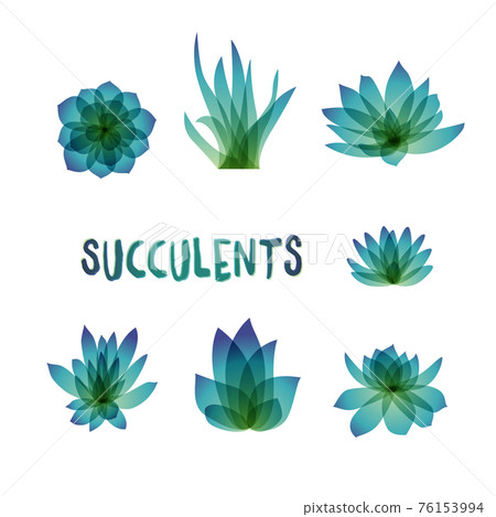 Graphic Set of succulents isolated on white background for design of cards, invitations 76153994
