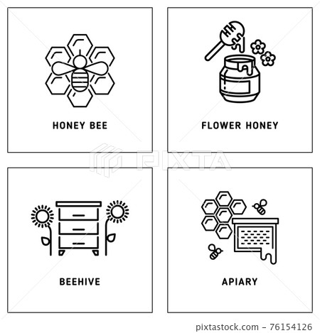 Honey, bees honeycomb logos template set 76154126