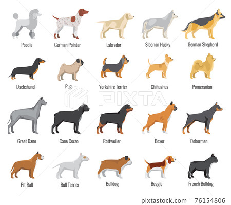 Dogs breed flat icons set Dogs breed flat icons set 76154806