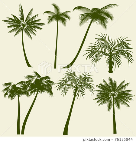 Summer holiday palm tree silhouettes Summer holiday palm tree silhouettes 76155844