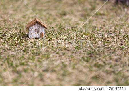 草坪上的一個可愛的小房子 76156514