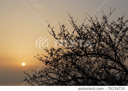 赤子景觀 76156720