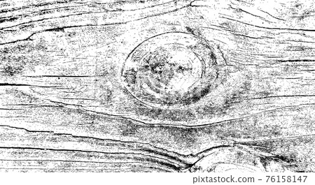 Wood tree nature texture background 76158147