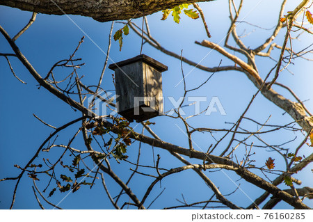 Wooden homemade birdhouse hanging on a tree Wooden homemade birdhouse hanging on a tree 76160285