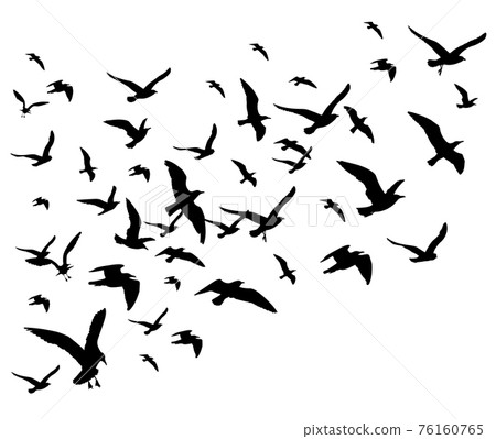 Flying birds flock illustration isolated on white background 76160765
