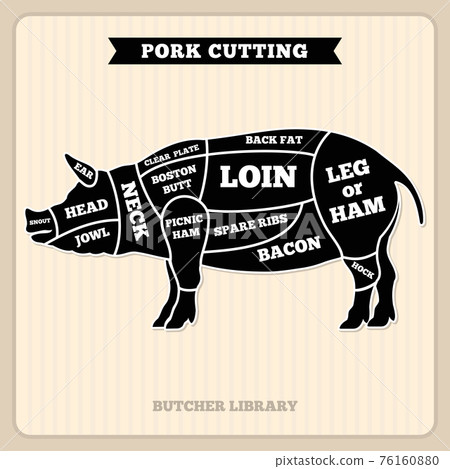 Pork, pig meat cutting vintage chart, cuts guide diagram 76160880