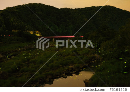 螢火蟲飛翔的風景 螢火蟲飛翔的風景 76161326