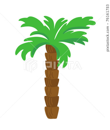 Palm tree tropical plant in simple style vector illustration, beach greenery, exotic jungle for making card, invitation, summer mood decor 76161783