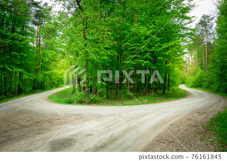 A sharp turn in a green forest, an island with trees A sharp turn in a green forest, an island with trees 76161845