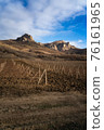 Winter sunset in the vineyard of Crimea. Moody sky 76161965