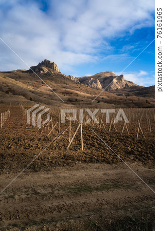 Winter sunset in the vineyard of Crimea. Moody sky 76161965
