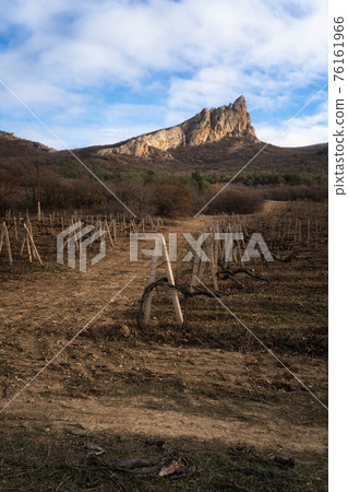 Winter sunset in the vineyard of Crimea. Moody sky 76161966
