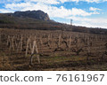 Winter sunset in the vineyard of Crimea. Moody sky 76161967