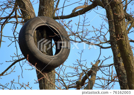 car tire hanging from a tree in the city car tire hanging from a tree in the city 76162003