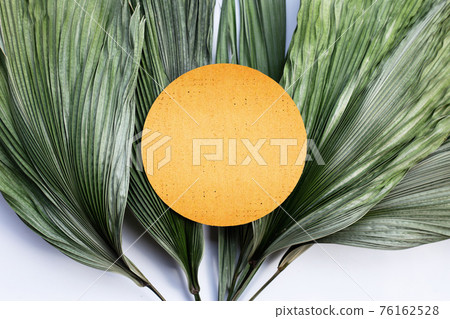 Blank brown round paper on tropical palm dry leaves. Blank brown round paper on tropical palm dry leaves. 76162528