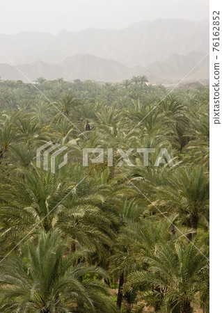 STOCK PHOTOGRAPHY IMAGES 76162852