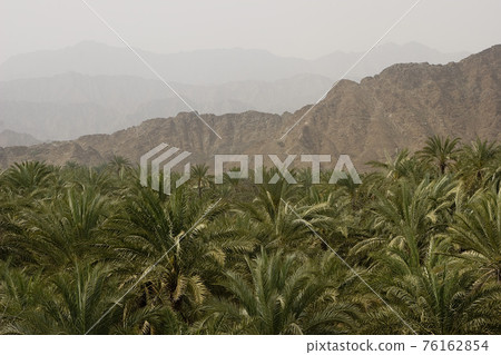 STOCK PHOTOGRAPHY IMAGES 76162854